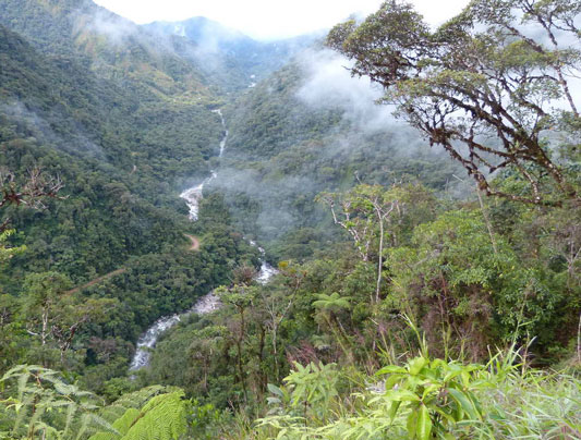 view of the Manu Rd., Peru