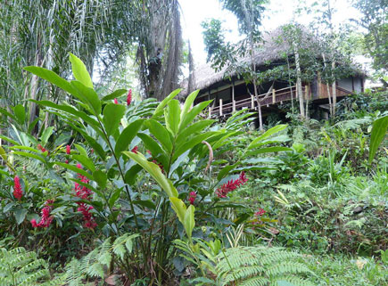 lodge 2