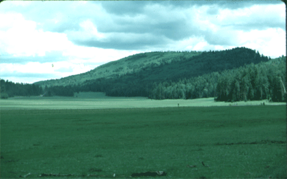 big lake road
