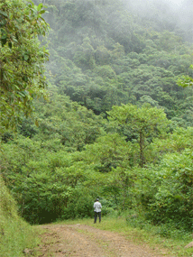 Sierra de Juarez
