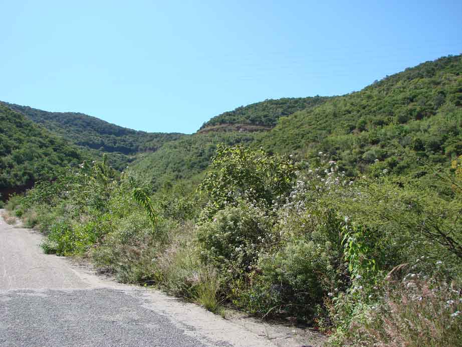 hills above Oaxaca