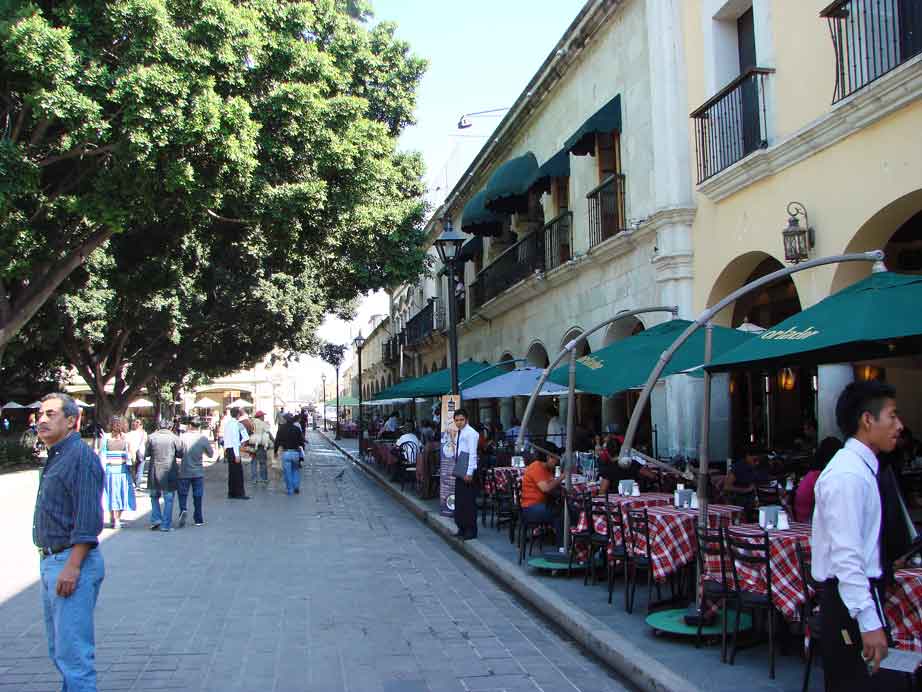 zocola in Oaxaca